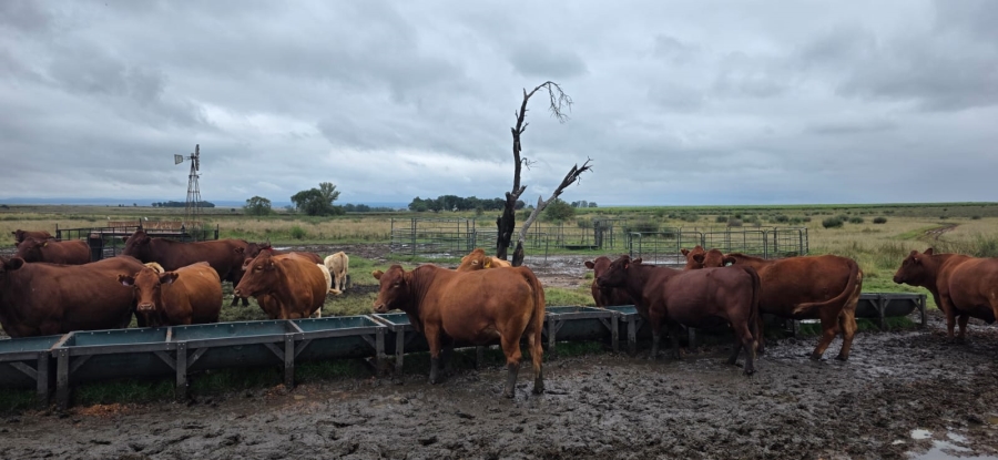 Commercial Property for Sale in Klerksdorp Rural North West